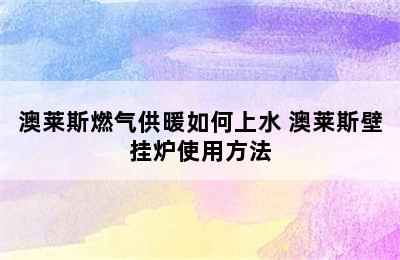 澳莱斯燃气供暖如何上水 澳莱斯壁挂炉使用方法